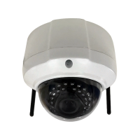 Industrial Surveillance Camera - DOME (LTE)